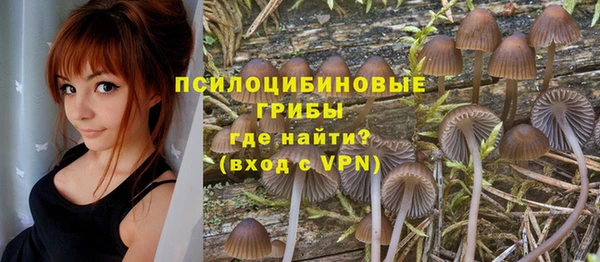 Альфа ПВП Аркадак