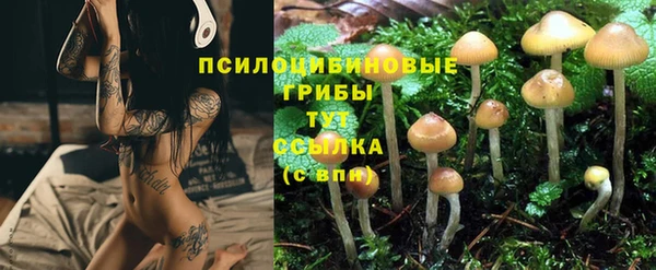 тгк Армянск