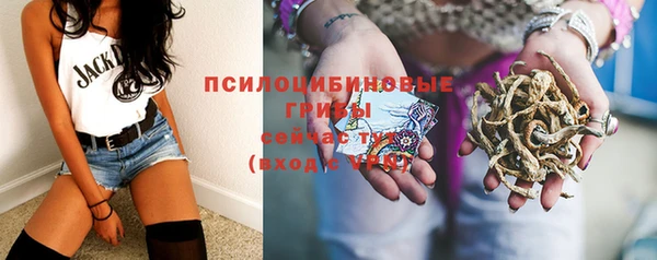 тгк Армянск