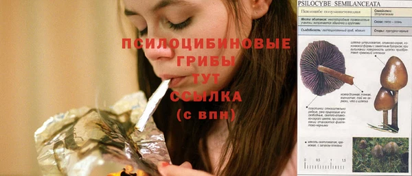 тгк Армянск