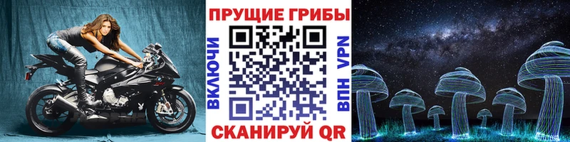 MEGA ONION Кирово-Чепецк Галлюциногенные грибы прущие грибы